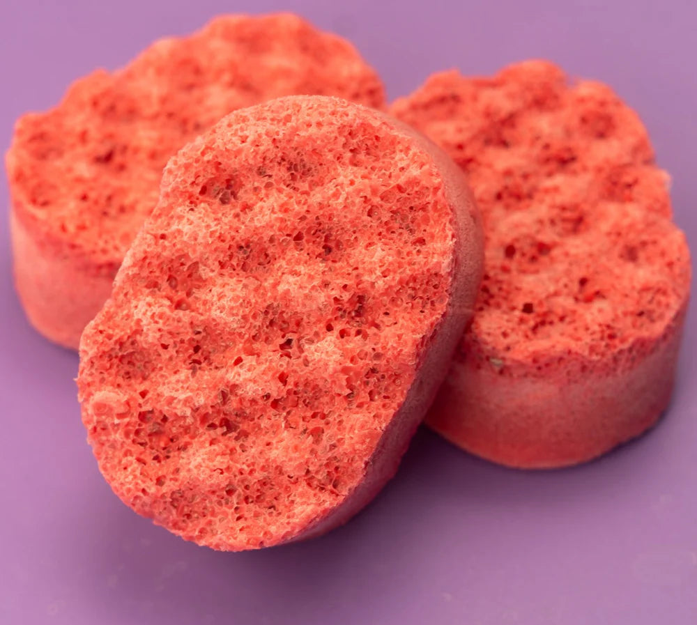 Soap Sponges