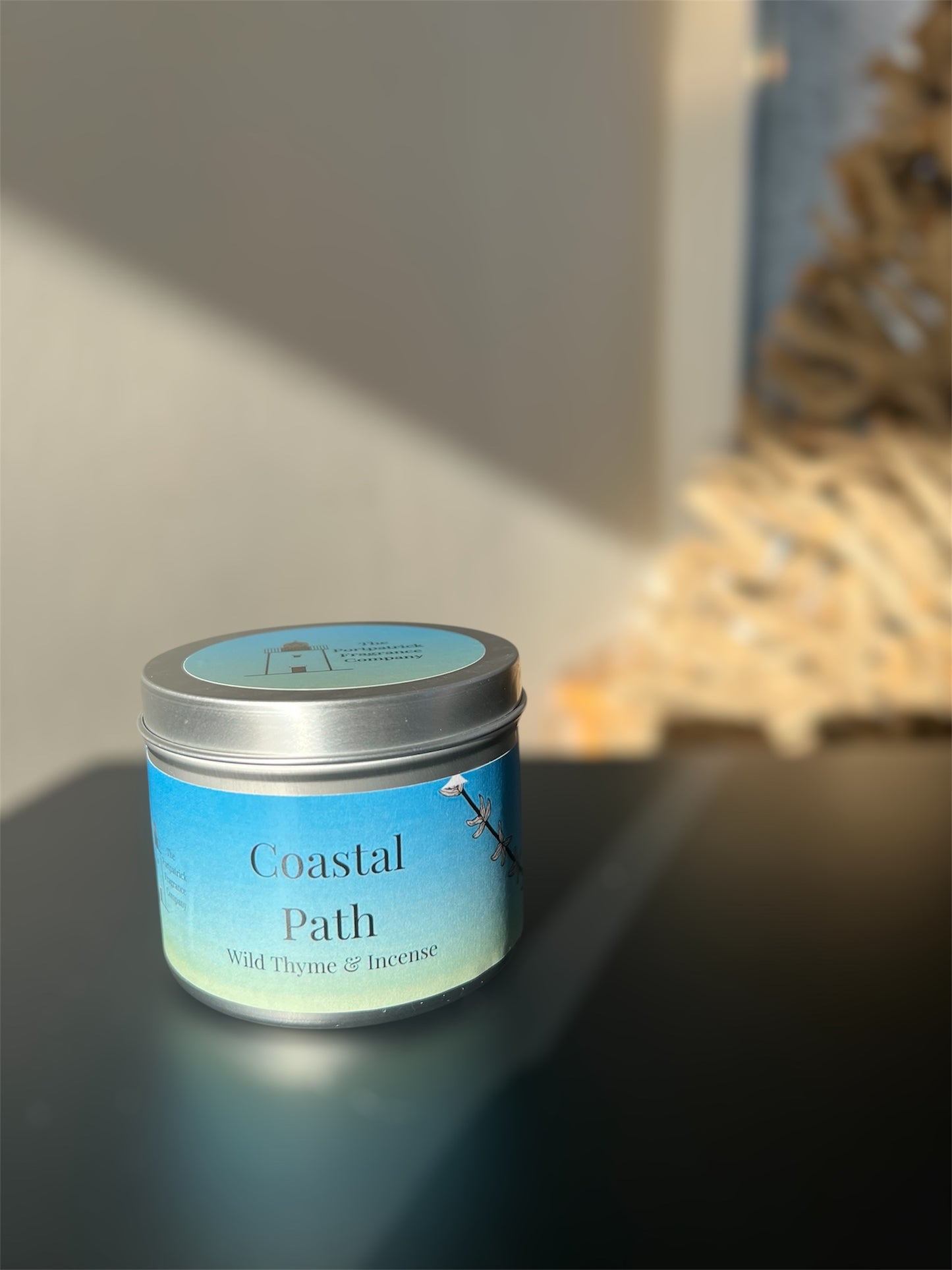 The Coastal Path Tinned Candle
